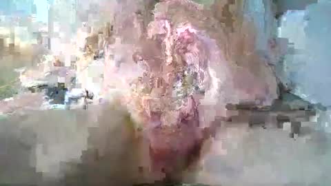 stthomasyr online show from May 13, 1:36 am