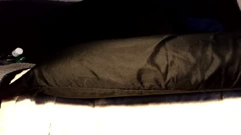 between my legs online show from June 17, 3:35 pm