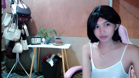 Sugar online show from February 16, 3:46 am