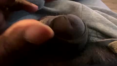 Let me be your knight that saves you online show from January 7, 8:55 pm