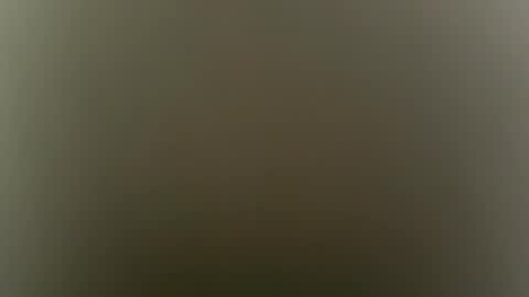 suly online show from February 4, 5:02 am