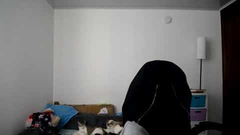 Susana online show from July 4, 3:18 pm