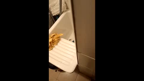 Snapshot of suso9092 chatting on March 23, 11:42 pm suso9092 online show from March 23, 11:42 pm