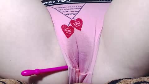 Kitten online show from March 5, 5:50 am