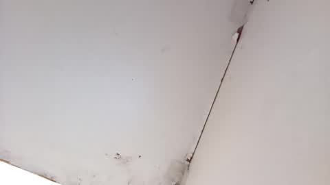 tall6feet7inch online show from March 16, 8:40 am