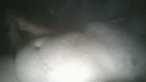 tallicas2000 online show from July 16, 1:44 am