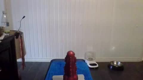 Snapshot of tallman_007 chatting on November 21, 5:55 pm tallman_007 online show from November 21, 5:55 pm