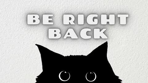 Rousaly online show from January 13, 11:37 am