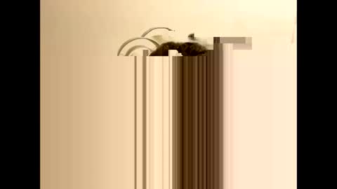 Snapshot of tastytexas24 chatting on February 9, 12:47 am tastytexas24 online show from February 9, 12:47 am