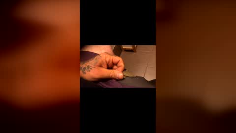 Snapshot of tattedtradie chatting on April 24, 9:01 am tattedtradie online show from April 24, 9:01 am