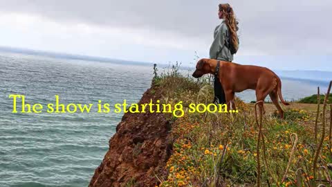 Snapshot of tatum__kahlo chatting on March 15, 2:28 am TATUM ALL MY LINKS online show from March 15, 2:28 am