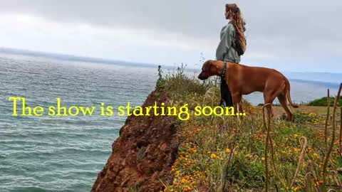 Snapshot of tatum__kahlo chatting on May 21, 9:44 pm TATUM ALL MY LINKS online show from May 21, 9:44 pm