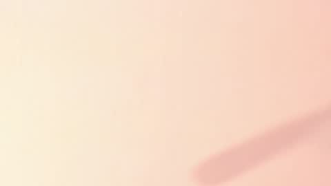 Taylor  online show from January 3, 3:55 pm