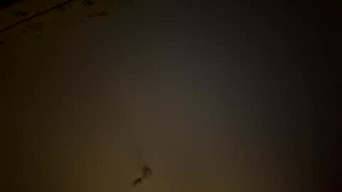 teecup4osk online show from February 8, 4:38 am