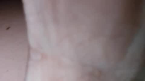 teslaxplaid online show from December 14, 2:56 am