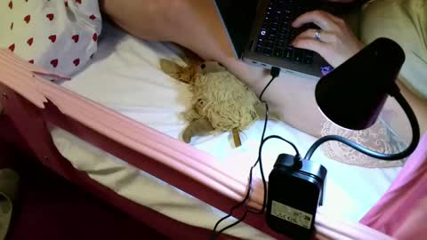 Stephan 34  Cassandra 25 online show from June 2, 8:44 pm