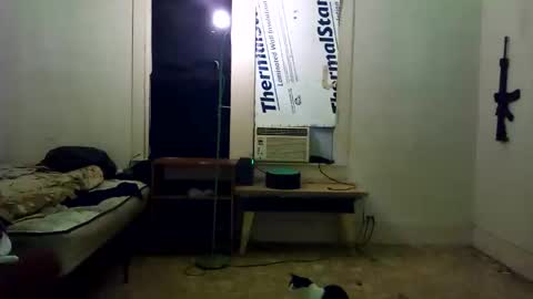 Snapshot of theepussypirate chatting on February 28, 5:52 am theepussypirate online show from February 28, 5:52 am