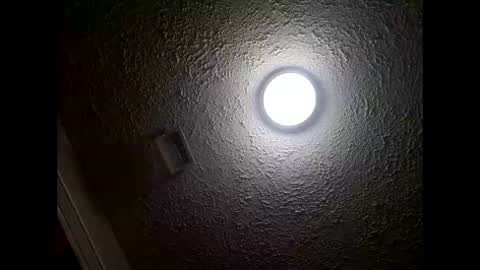 Amelia online show from January 17, 2:44 pm