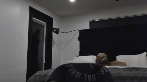 thiccbull12 online show from June 29, 7:58 am