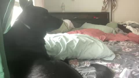 throatyygoat online show from September 21, 6:53 pm