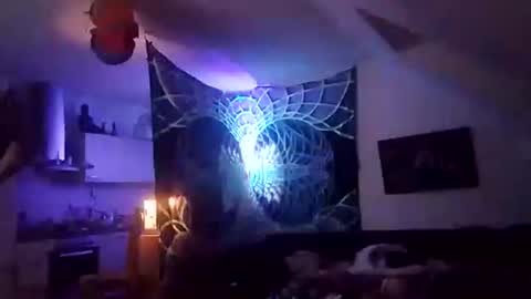 tigertrance online show from December 2, 12:49 am