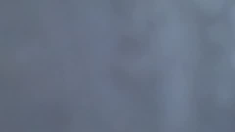 Snapshot of tinfoil6969 chatting on February 1, 6:17 pm see my bio masturbate thick cock ballsack edging cum online show from February 1, 6:17 pm