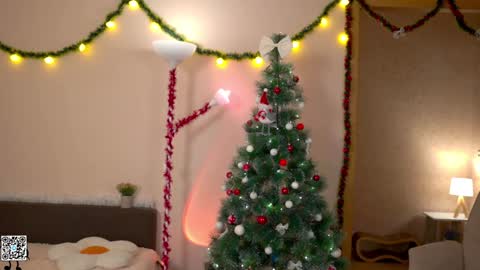 Snapshot of tiny_miracle chatting on December 25, 4:54 pm Lyssa online show from December 25, 4:54 pm