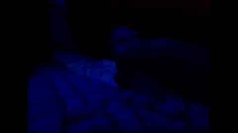 tixzle online show from March 31, 7:36 pm