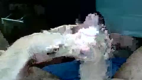 Snapshot of tom4yourself chatting on May 29, 6:17 pm tom4yourself online show from May 29, 6:17 pm