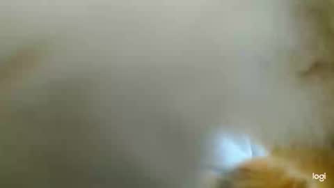 Snapshot of tomboyblue chatting on February 24, 3:42 pm Blue online show from February 24, 3:42 pm