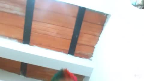 Snapshot of tomboyblue chatting on March 3, 9:26 pm Blue online show from March 3, 9:26 pm