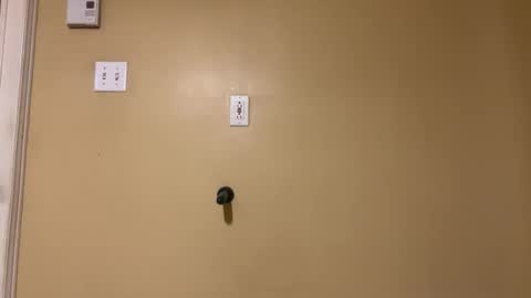 Sexy boys online show from February 15, 1:10 am