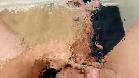 ARKANSAS THICK WOOD online show from March 4, 2:28 am