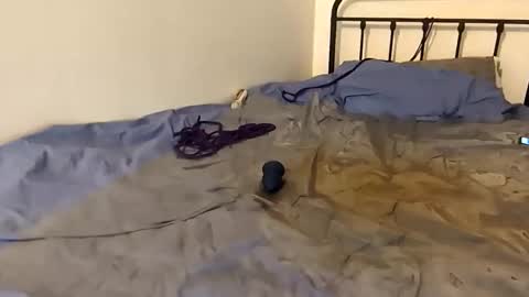 Snapshot of toxic2lust chatting on March 4, 6:58 pm toxic2lust online show from March 4, 6:58 pm