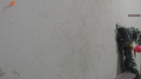 toxca69 online show from January 7, 4:59 am