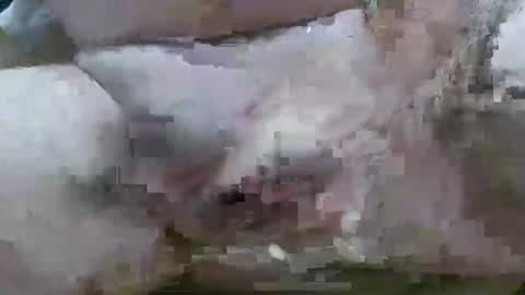 troy1965 online show from February 11, 6:07 am