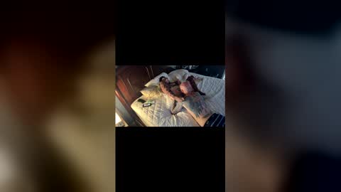 tslizzy0084 online show from March 29, 5:18 am