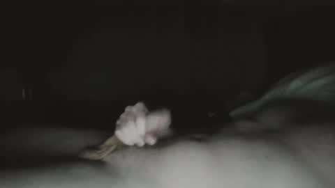 Snapshot of tucker9810 chatting on March 23, 1:31 am tucker 28 m online show from March 23, 1:31 am