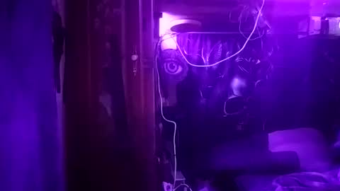 Tintilizing Excitement online show from January 5, 6:55 pm