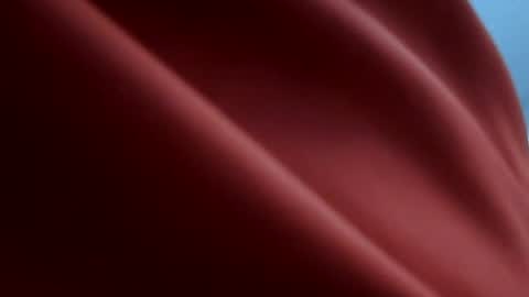 Tyler online show from June 12, 2:05 pm