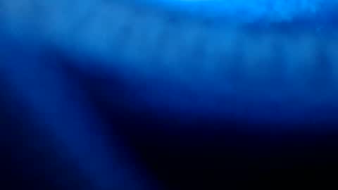 urasian_pinayjessaxxx online show from July 8, 7:13 am
