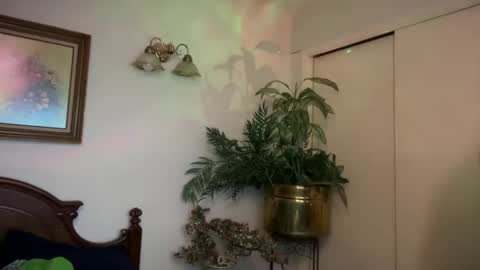 Sasha online show from January 28, 1:05 pm