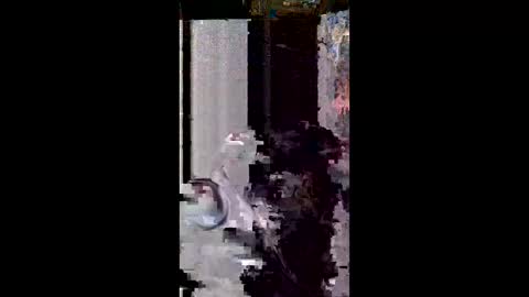 Snapshot of user18675309 chatting on March 8, 11:30 pm user18675309 online show from March 8, 11:30 pm