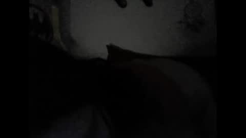 Valeria online show from February 15, 6:55 am