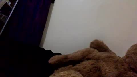 DarkBerryBliss online show from April 13, 10:04 pm