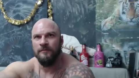 viking online show from February 25, 8:51 pm