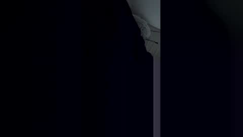 Snapshot of waffleman504832 chatting on May 24, 11:21 pm waffleman504832 online show from May 24, 11:21 pm
