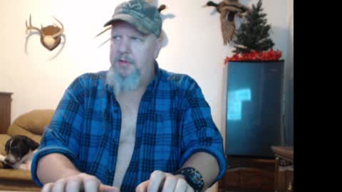 walkingbird online show from December 21, 9:36 pm