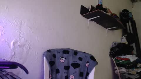  washbag14 online show from February 13, 3:41 pm