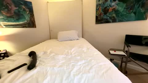 Retainer Forever Solo Album online show from March 7, 7:38 am